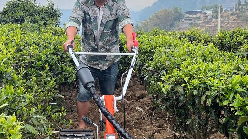 农田滴灌过滤器安装：确保灌溉效率的关键步骤